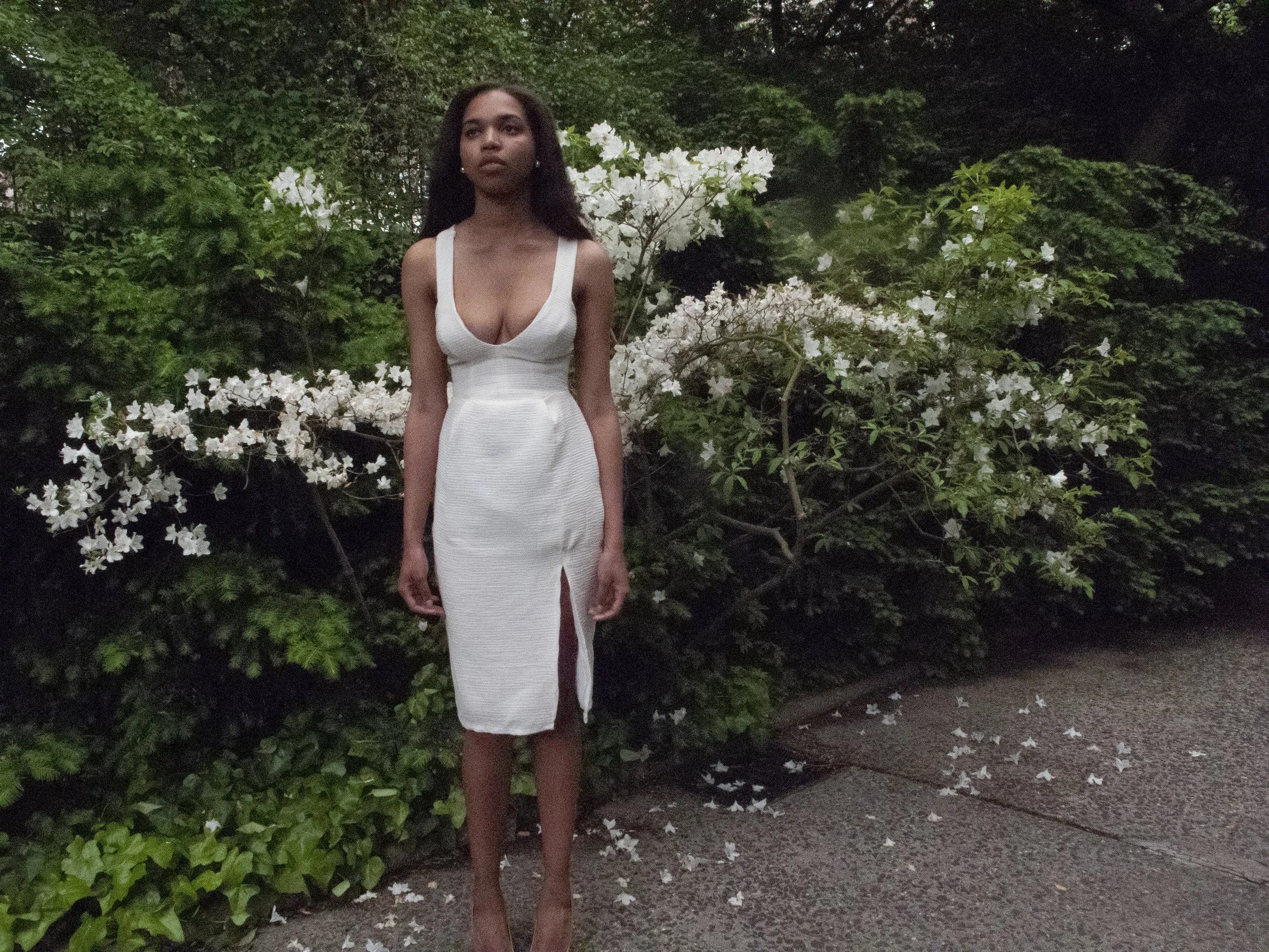 Tiffany. Harleem Meer, Central Park. New York, NY.