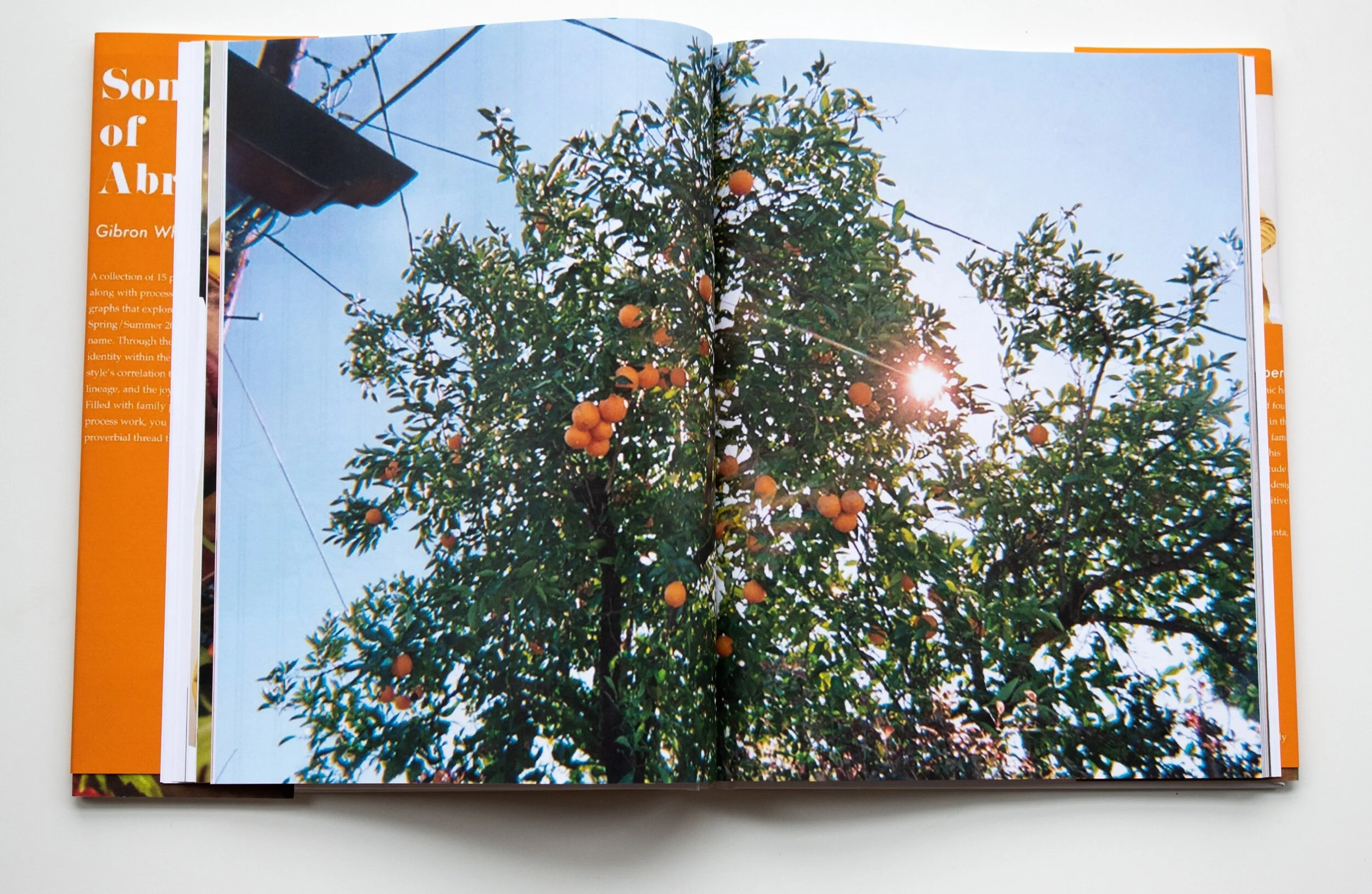 Sons of Abraham _GIBRON Whitney Shepperd