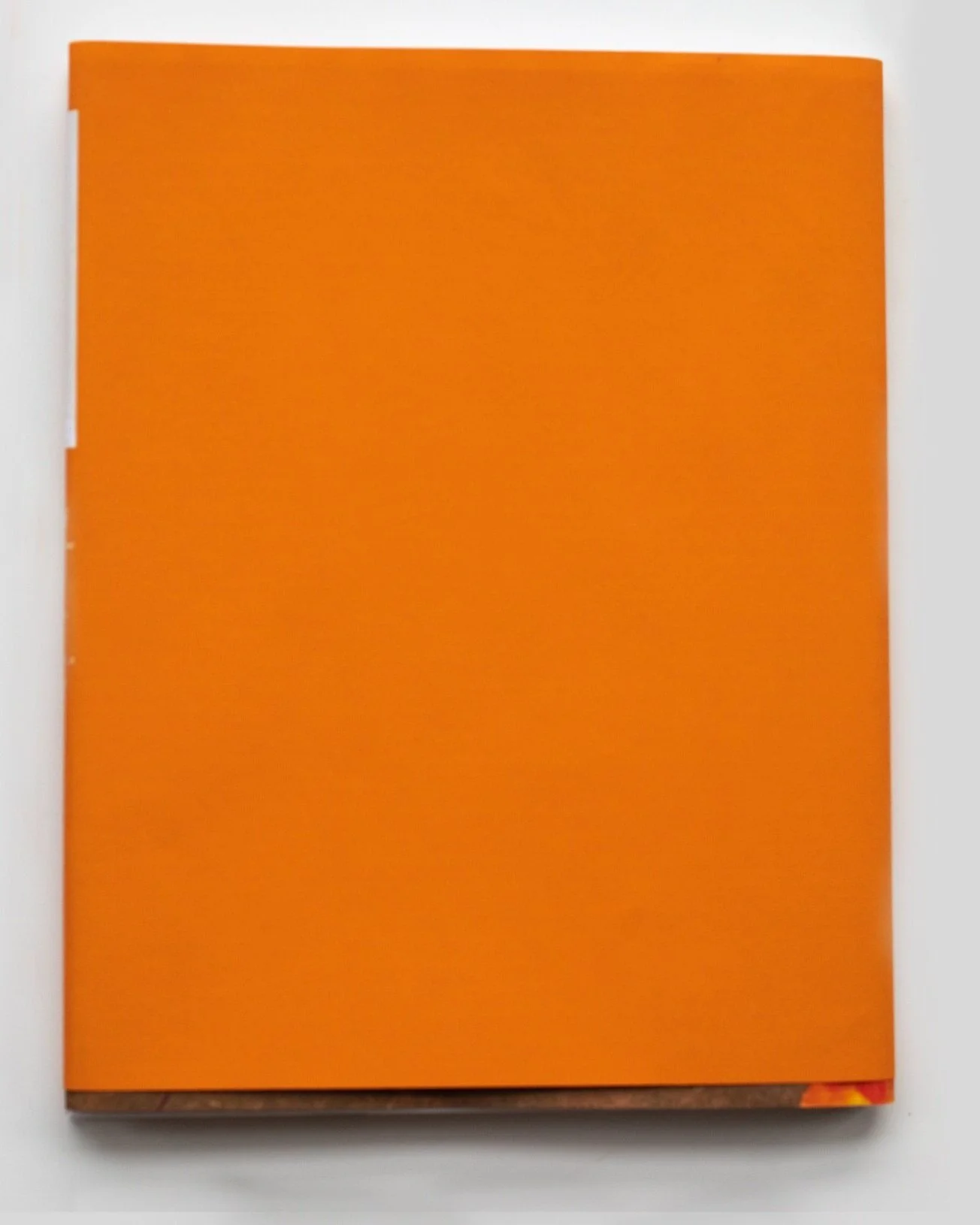 Sons of Abraham back cover_GIBRON Whitney Shepperd