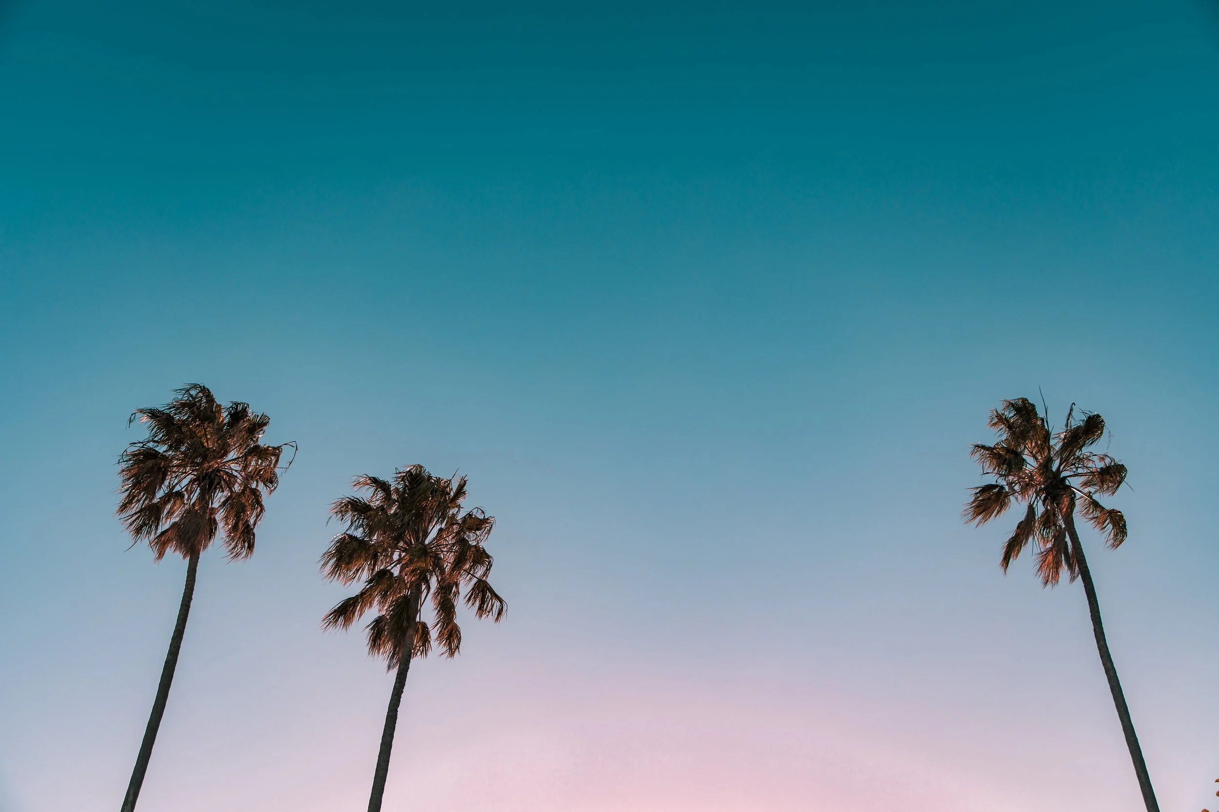 jamie-davies-672646-unsplash.jpg