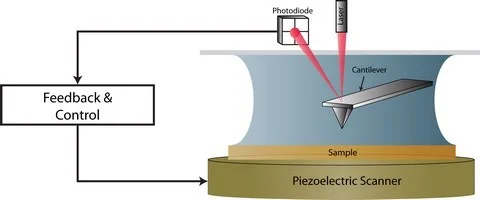 Figure 1: Schematic illustrating that activation of a cantilever via MAD mode.