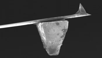 Figure 2: Scanning electron microscope (SEM) image of a magentic particle attached to the back of an AFM cantilever.