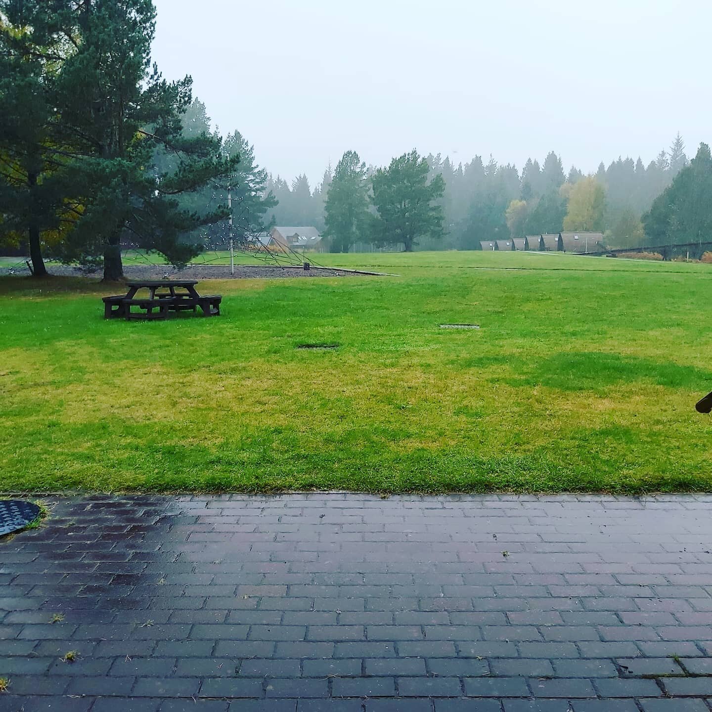 View from my workbase office window today.  Balmy autumn day.  @Speyside Kitchen @Badaguish Outdoor Centre. It is very peaceful indeed yet there are many folk around hiding in plain sight.  Chill time 🤗

#scotlandhighlands #hillwalking #cairngormnat