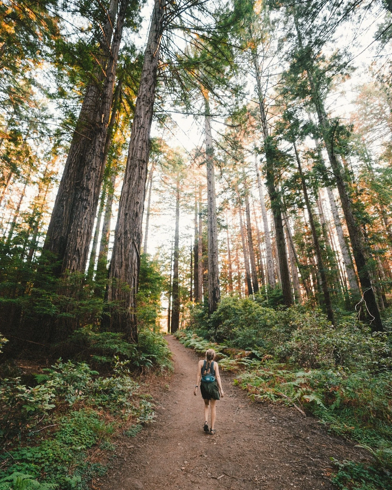 Walking in the Cairngorms: Understanding the Scottish Access Code