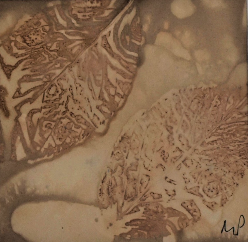 botanical printing paper.jpeg