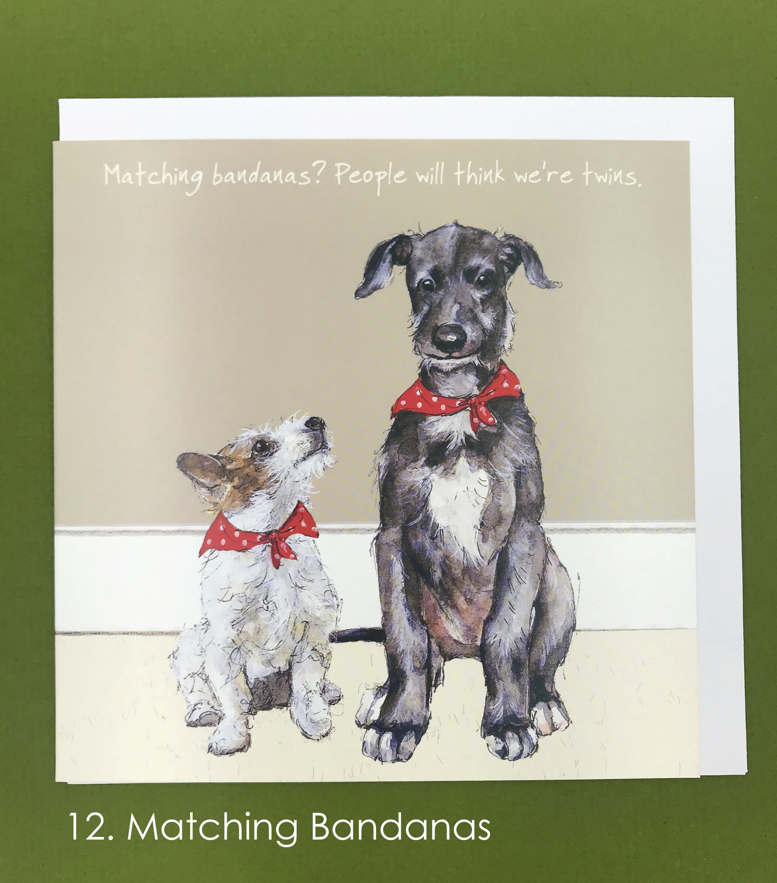 little dog bandanas text.jpg
