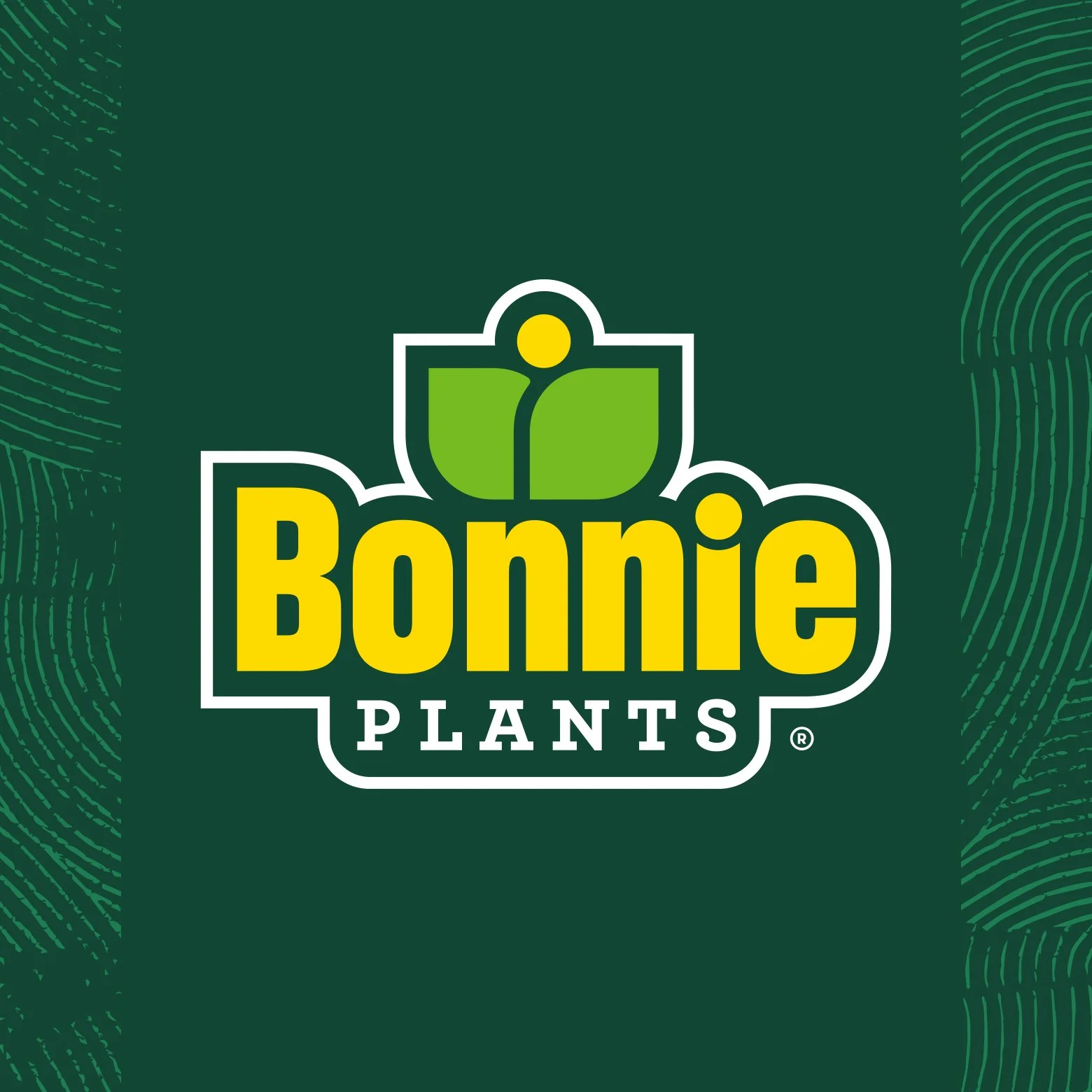 Bonnie_slug.jpg