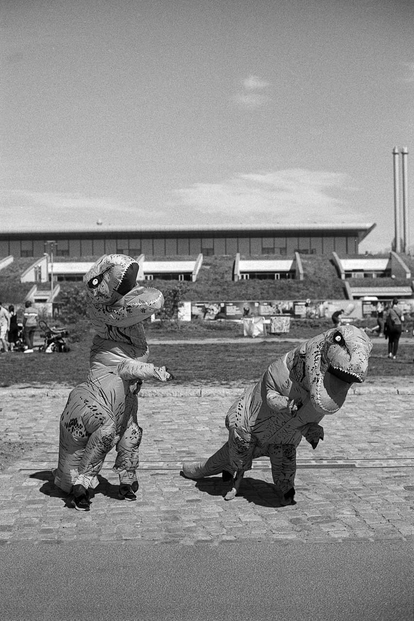 2021-05-09_Dinosaurier_Mauerpark_Nikon_F3_FP4+_web.jpg