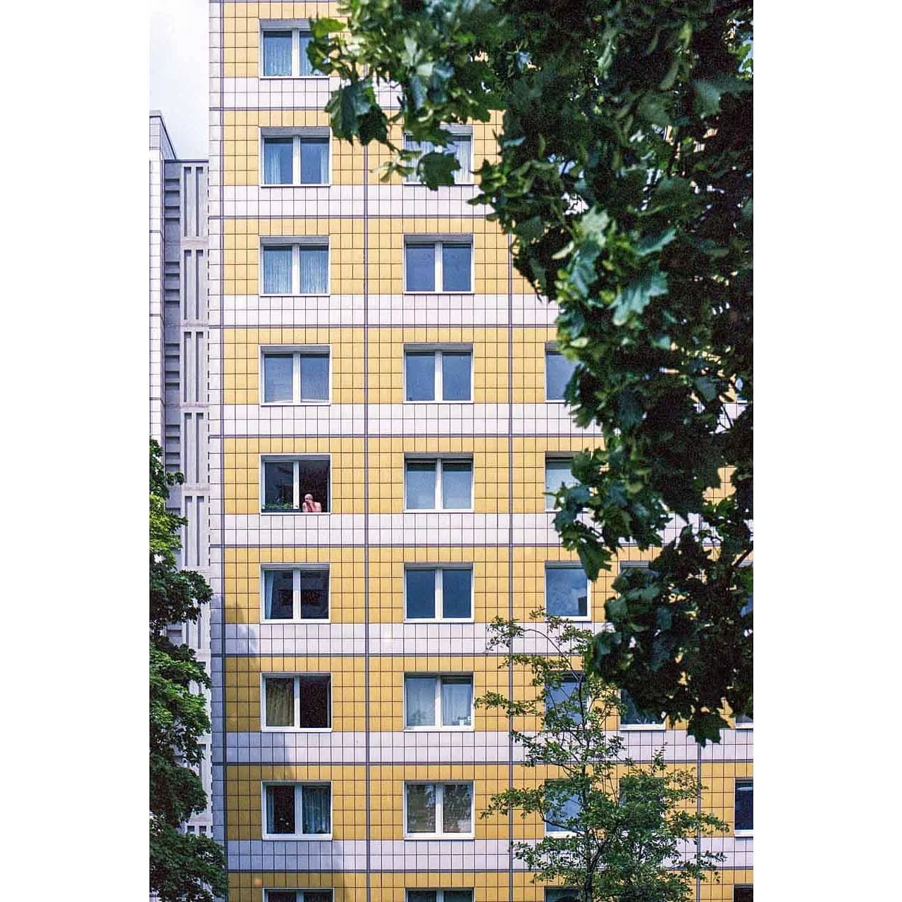 _
_
_
_
_
_
_
_
#icu_architecture #jj_architecture #creative_architecture #arkiromantix #tv_architectural #archimasters #excellent_structure #arquitecturamx #diagonal_symmetry #FilmIsNotDead #filmphoto #kodak #thecreative #ishootfilm #keepfilmalive #