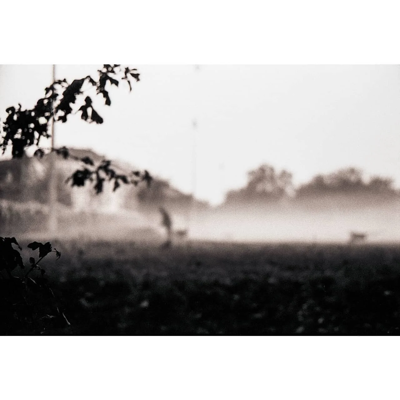 _
_
_
_
_
_
_
_
_
_
_
_
_
_
_
_
_
#streetphotography #streetphoto #allaboutstreet #cityphotography #bestoftheday #photojournalism #stayestray #street_vision #reportage #shootfilmbenice #documentaryphotography #believeinfilm #filmisnotdead #ishootfilm