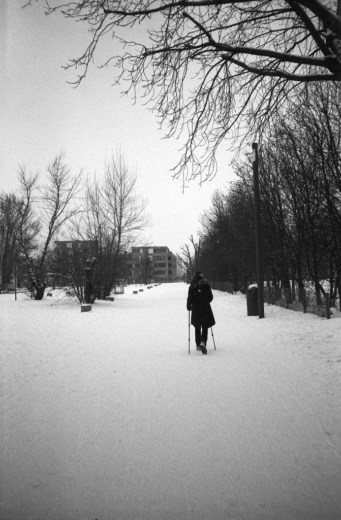 2021-02-21_Schnee_Mauerpark_Nordic_Walker_Pentax_ME_super_Kentmere100_web.jpg