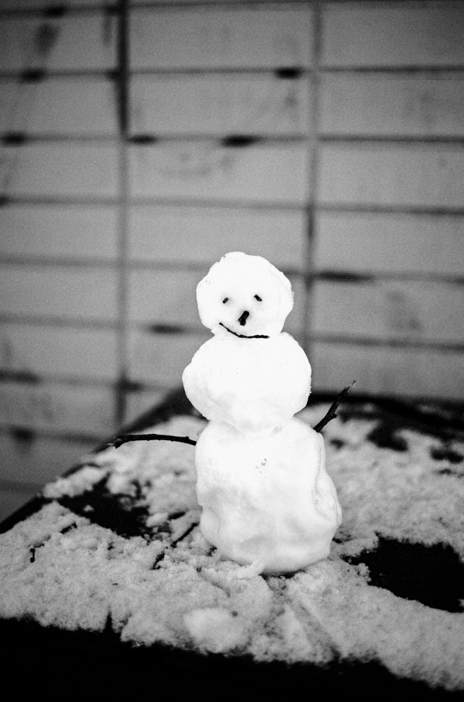 2023-02-26_Kleiner_Schneemann_Leica_M10-R_Somapan100_web.jpg