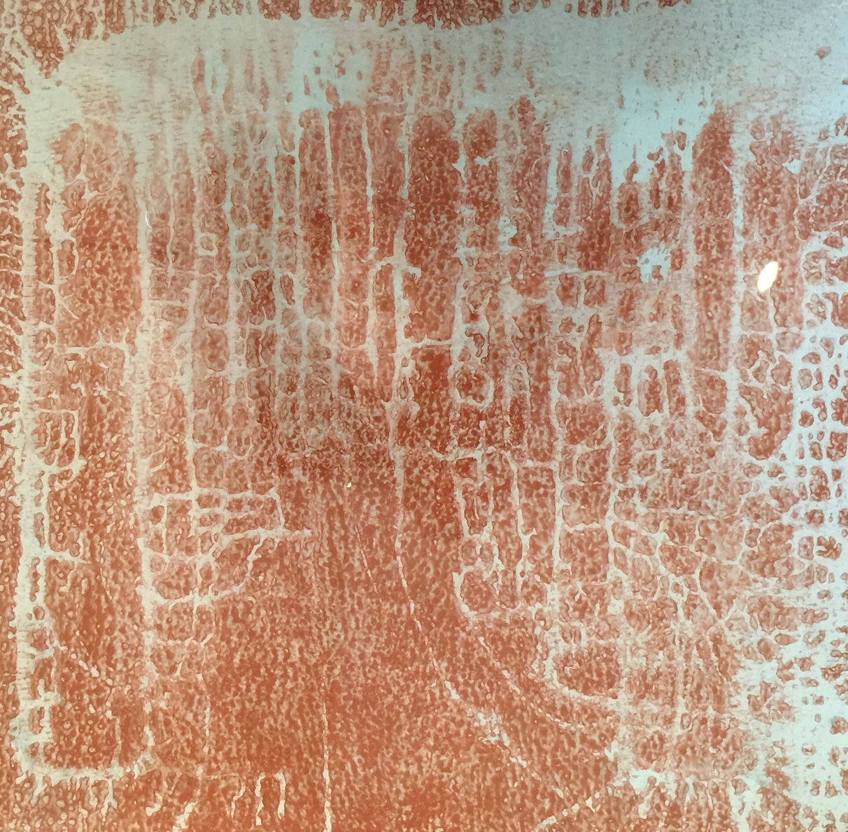 8 x 8 inches