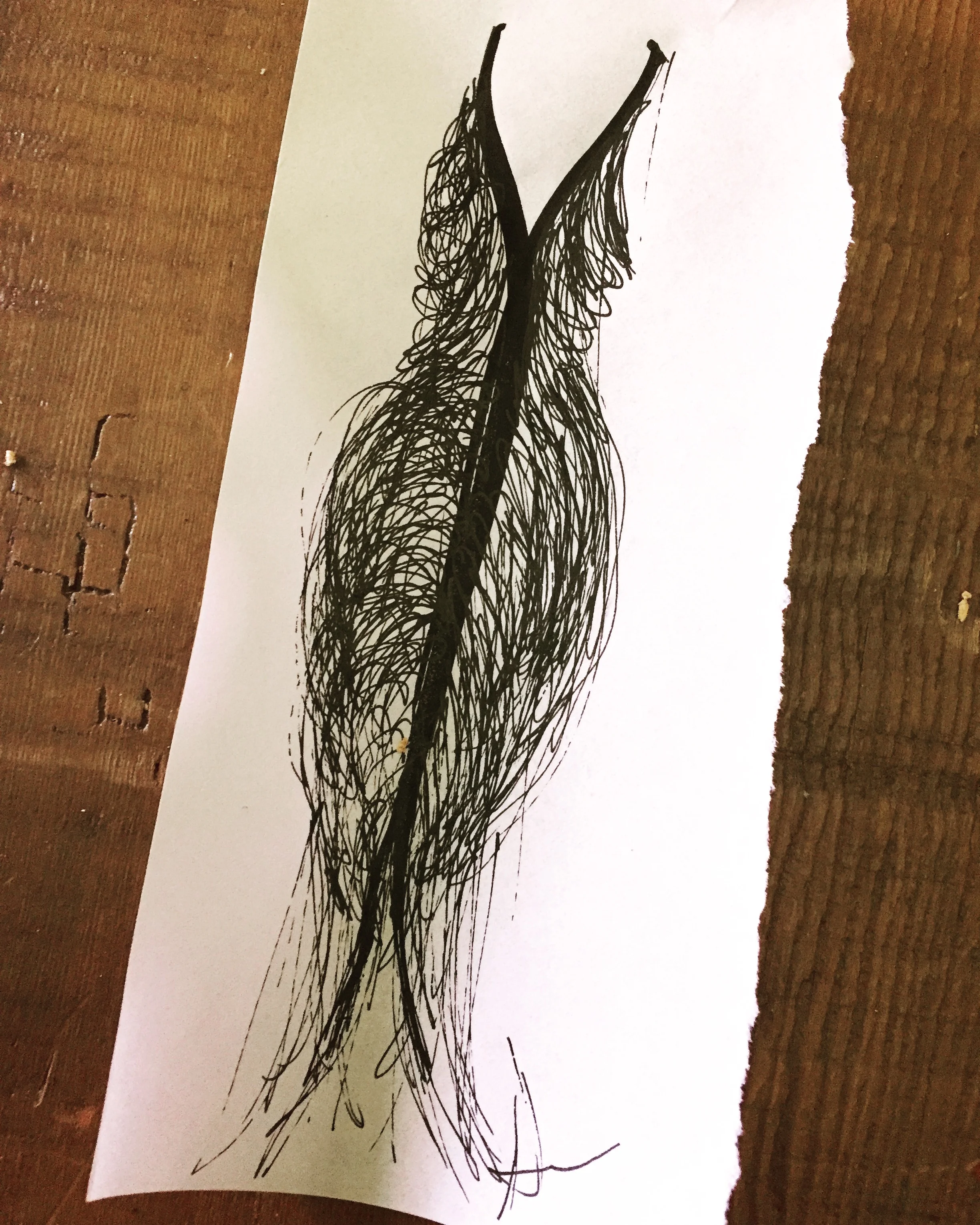 EXPERIMENTS IN FRINGE