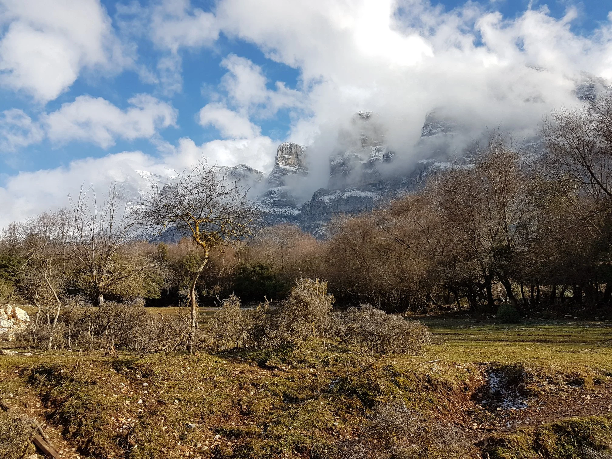 Greek country side.jpg