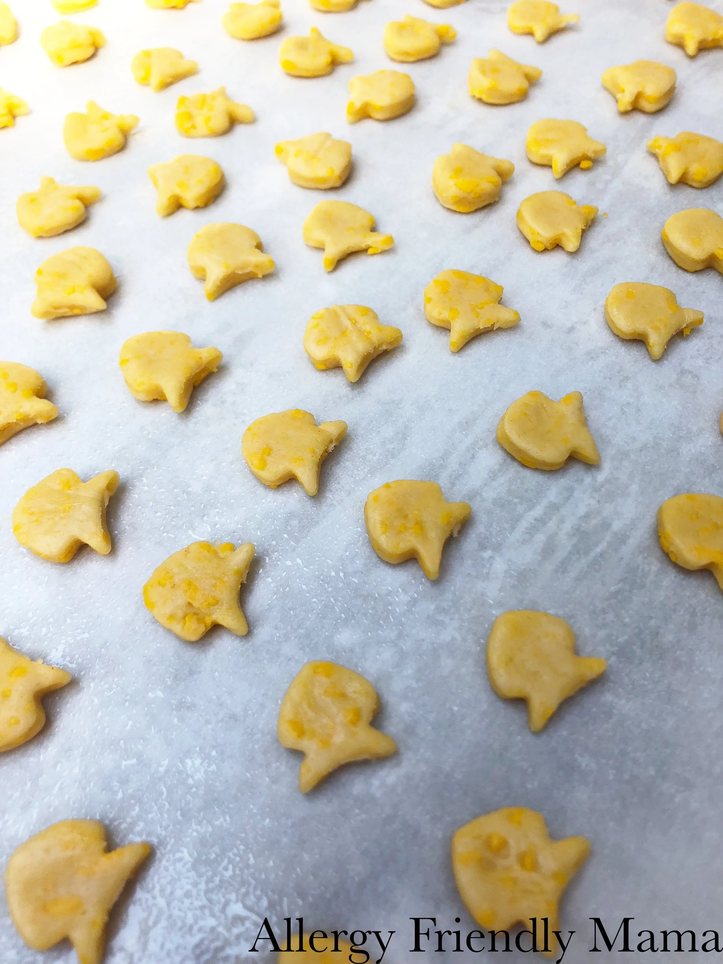 AFM Goldfish3.jpg