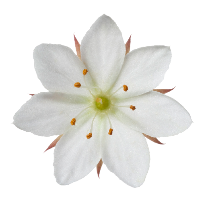 methodimages-09.png