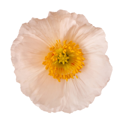 methodimages-10.png