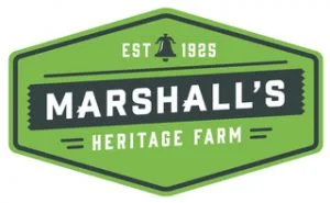 logo-01-01-300x185.jpeg