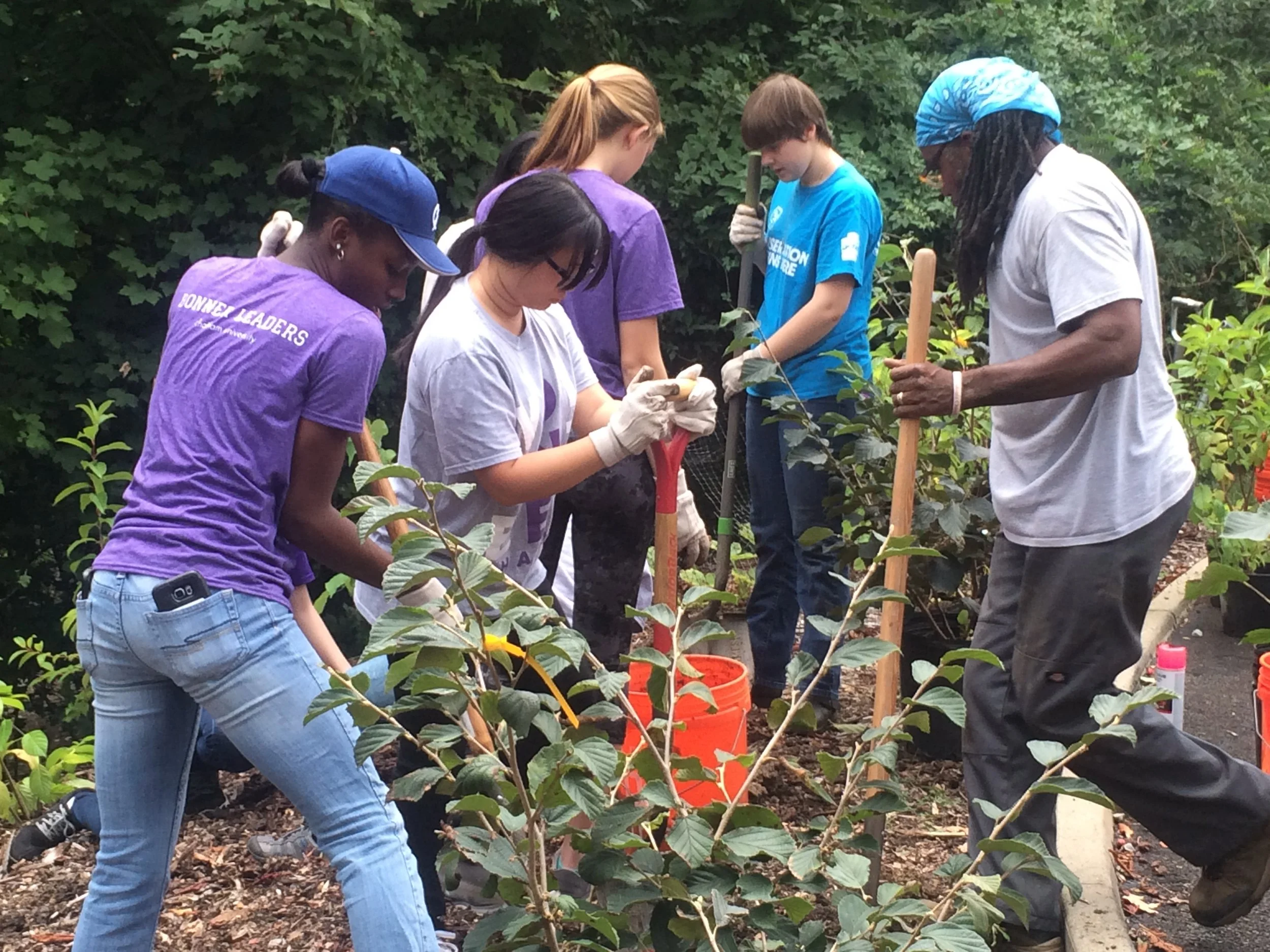 group-tree-digging-planting.jpg