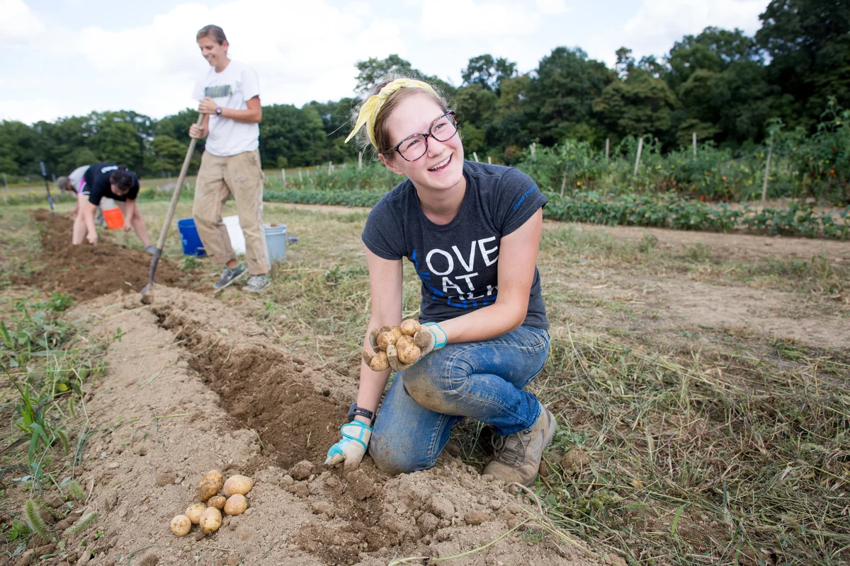 Harvesting potatoes at Eden Hall Campus