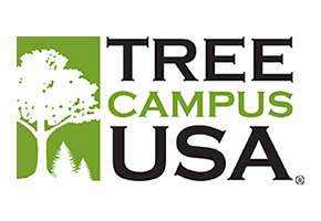 treecampus_usa_small.jpeg