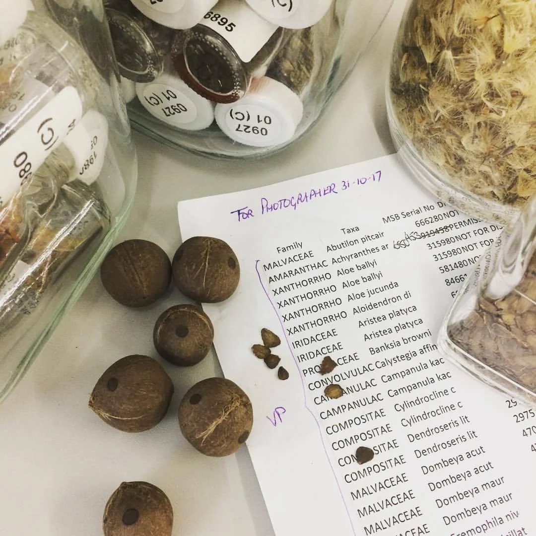List of specimens to photograph at Millenium Seed Bank