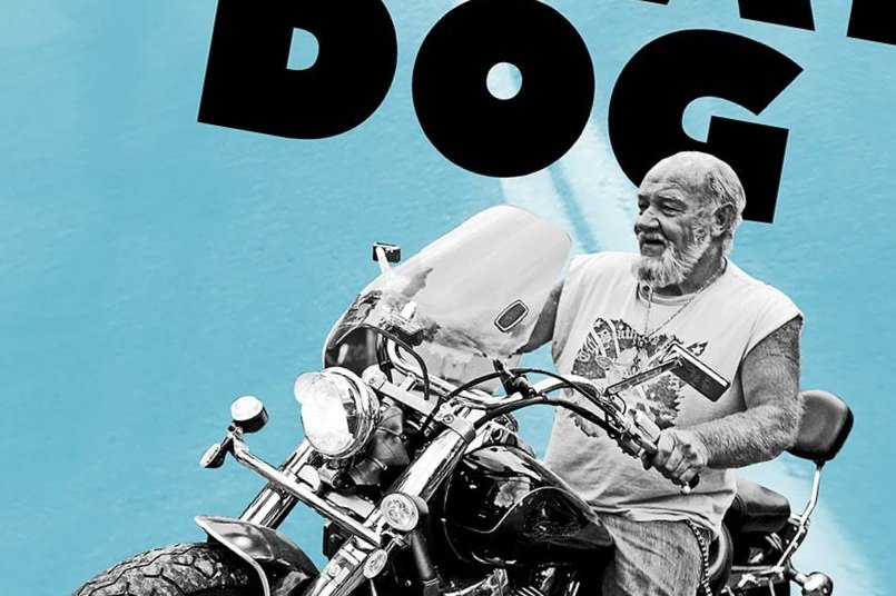Stray Dog // &lt;i&gt;Documentary film poster&lt;/i&gt;