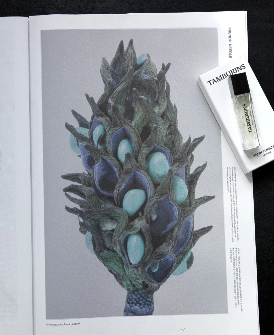 Magnolia in blue couture