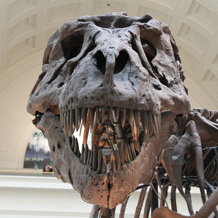 DINOSAURS!