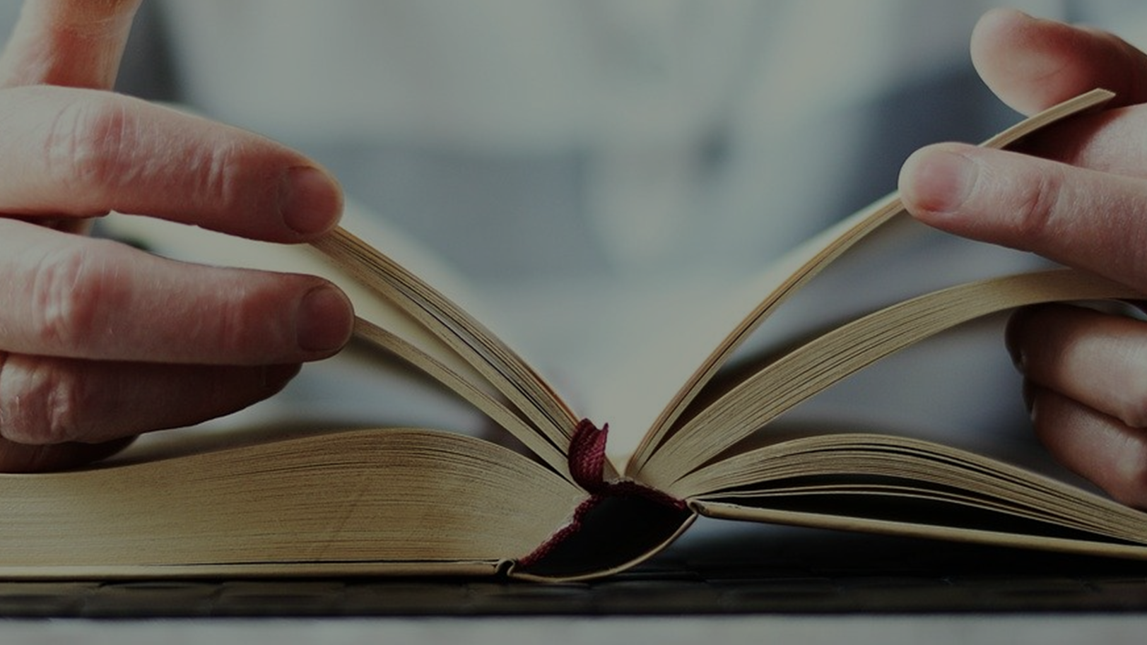 DiSCOVER Daily Devotional:  Seeing Past Our Hurt