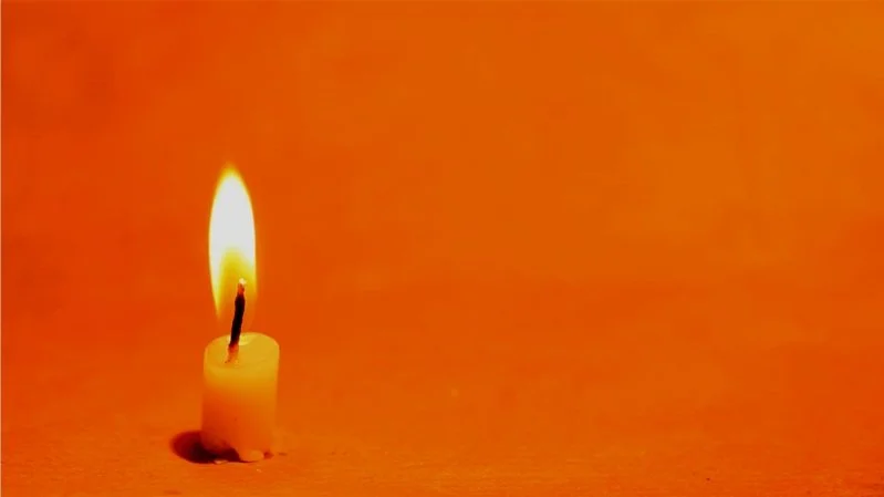 Daily Devo: Decently and In Order