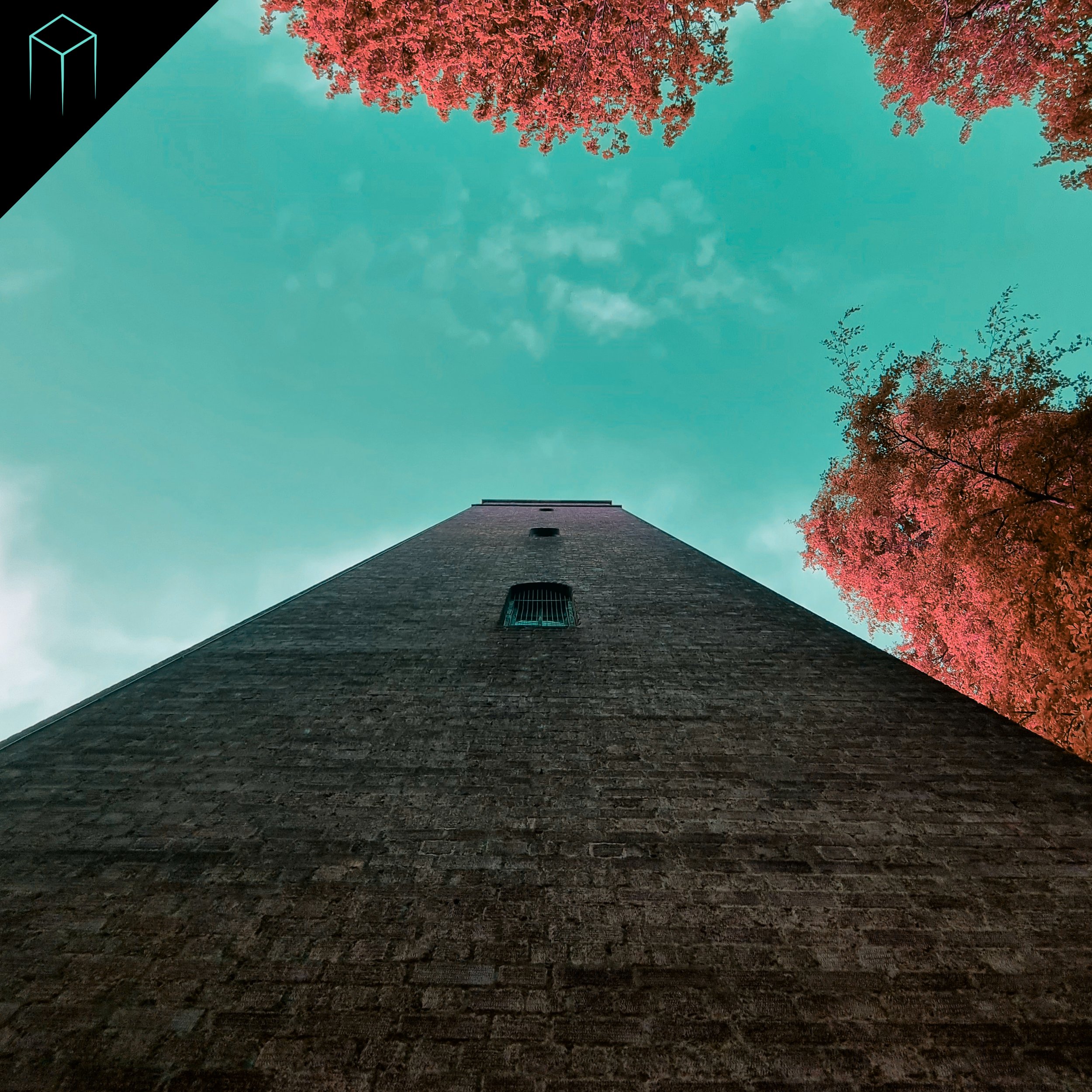 THE TOWER
