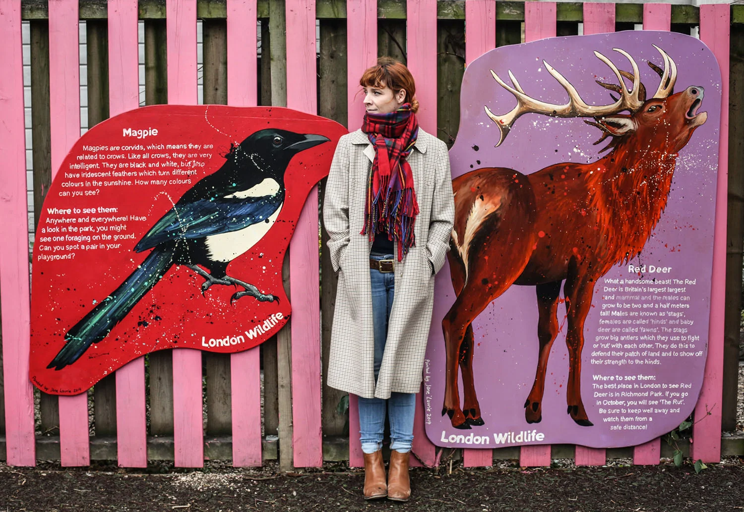 London Wildlife for Lauriston School in Hackney, 2016