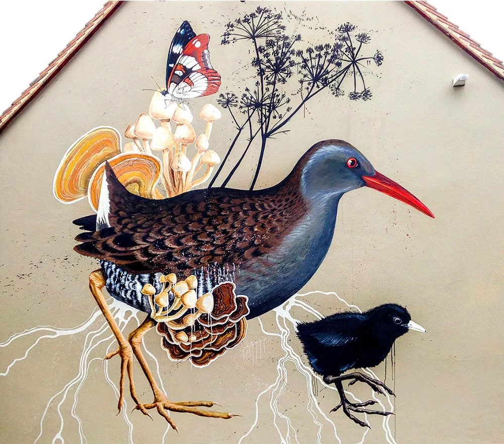 for the Sussex Wildlife Trust , Woods Mill, 2017