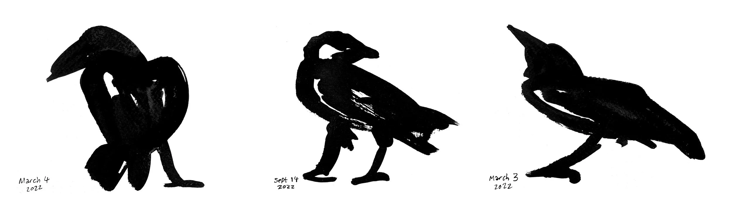 3 x 10secondcrows_whitebg.jpg