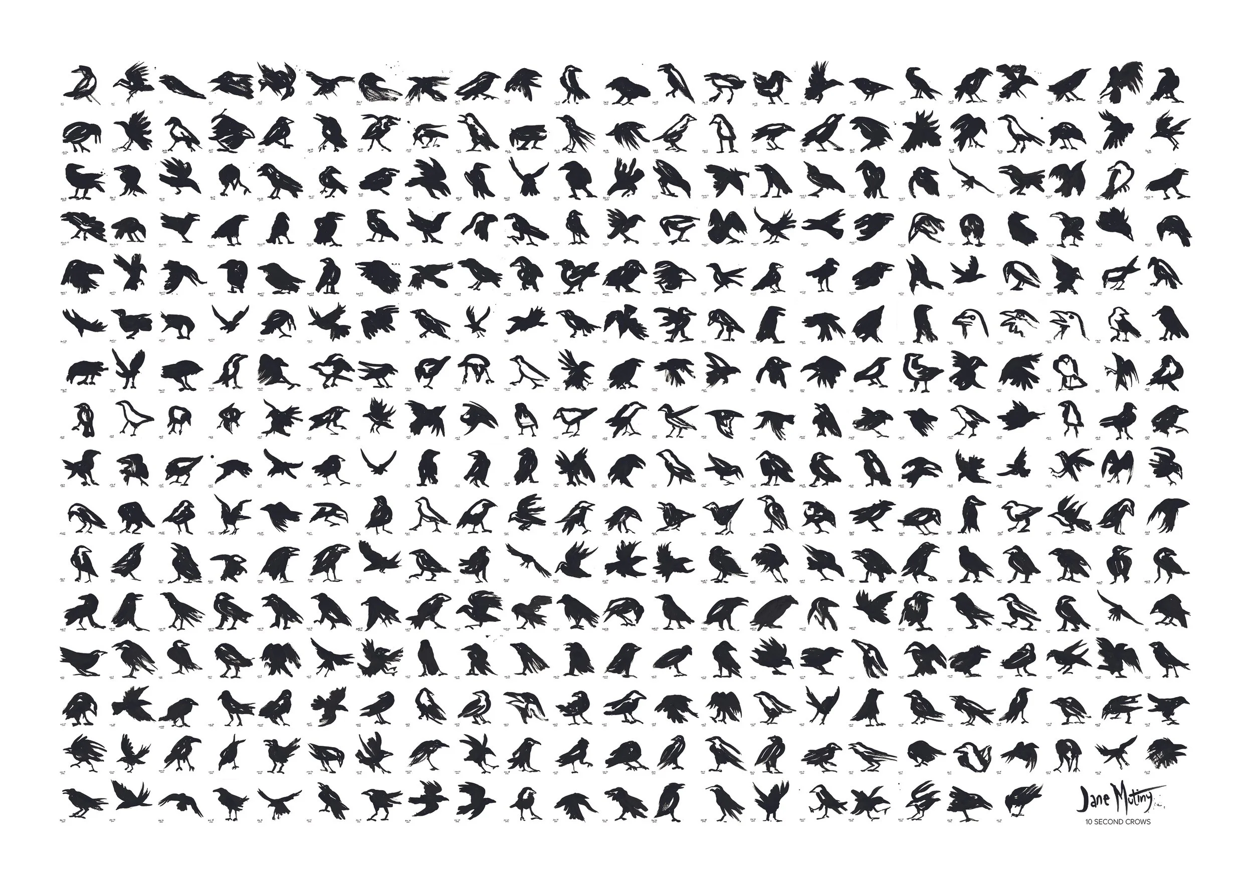 10SC_year of crows_sm.jpg