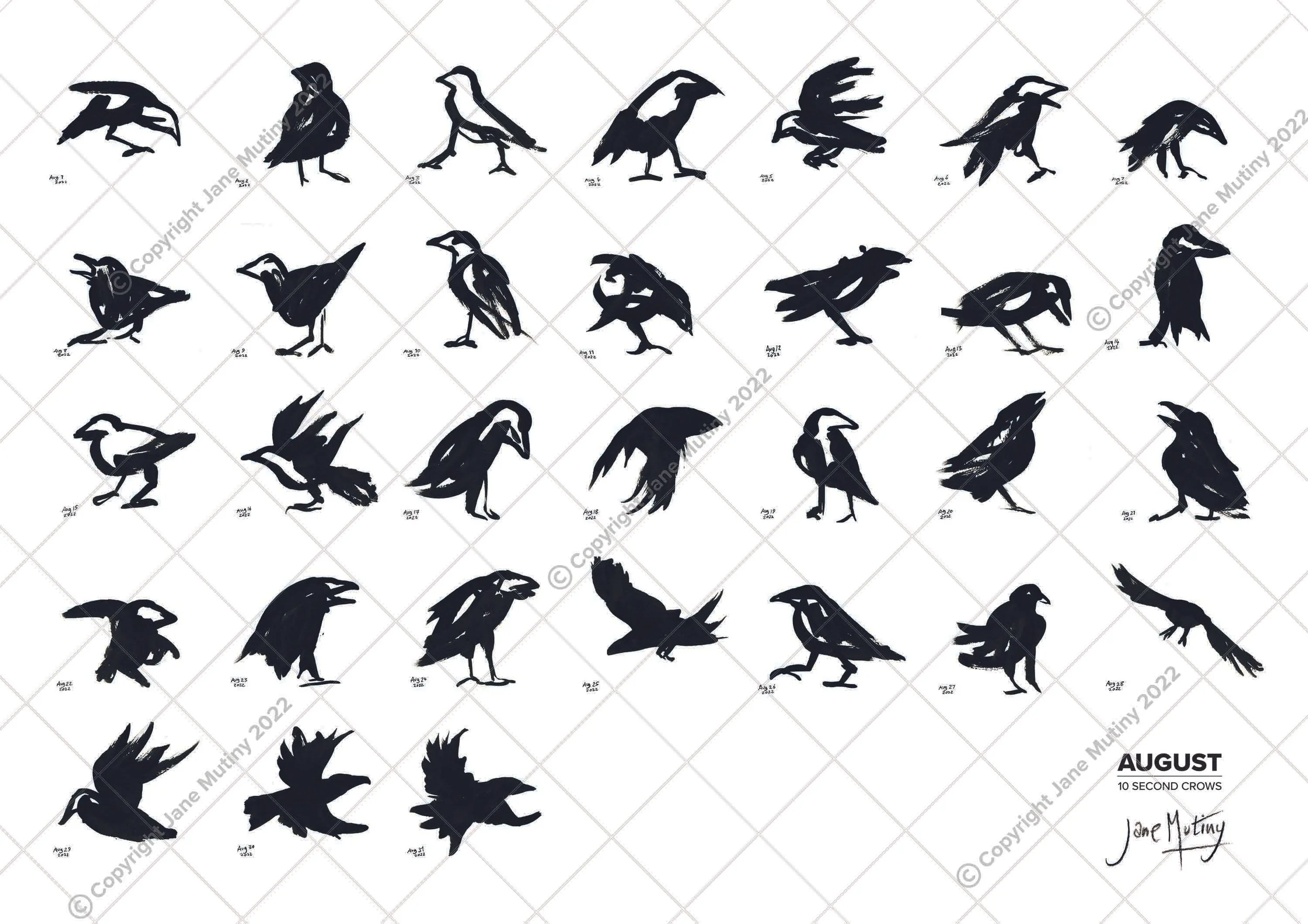8_10secondcrows_AUG_watermark.jpg