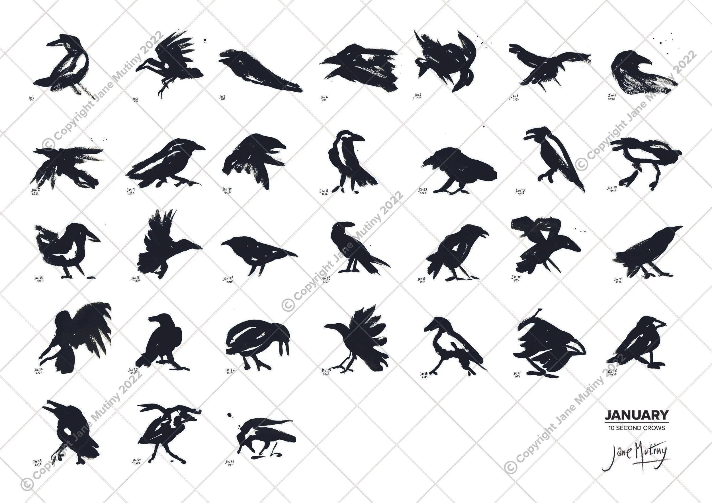 1_10secondcrows_JAN_watermark.jpg