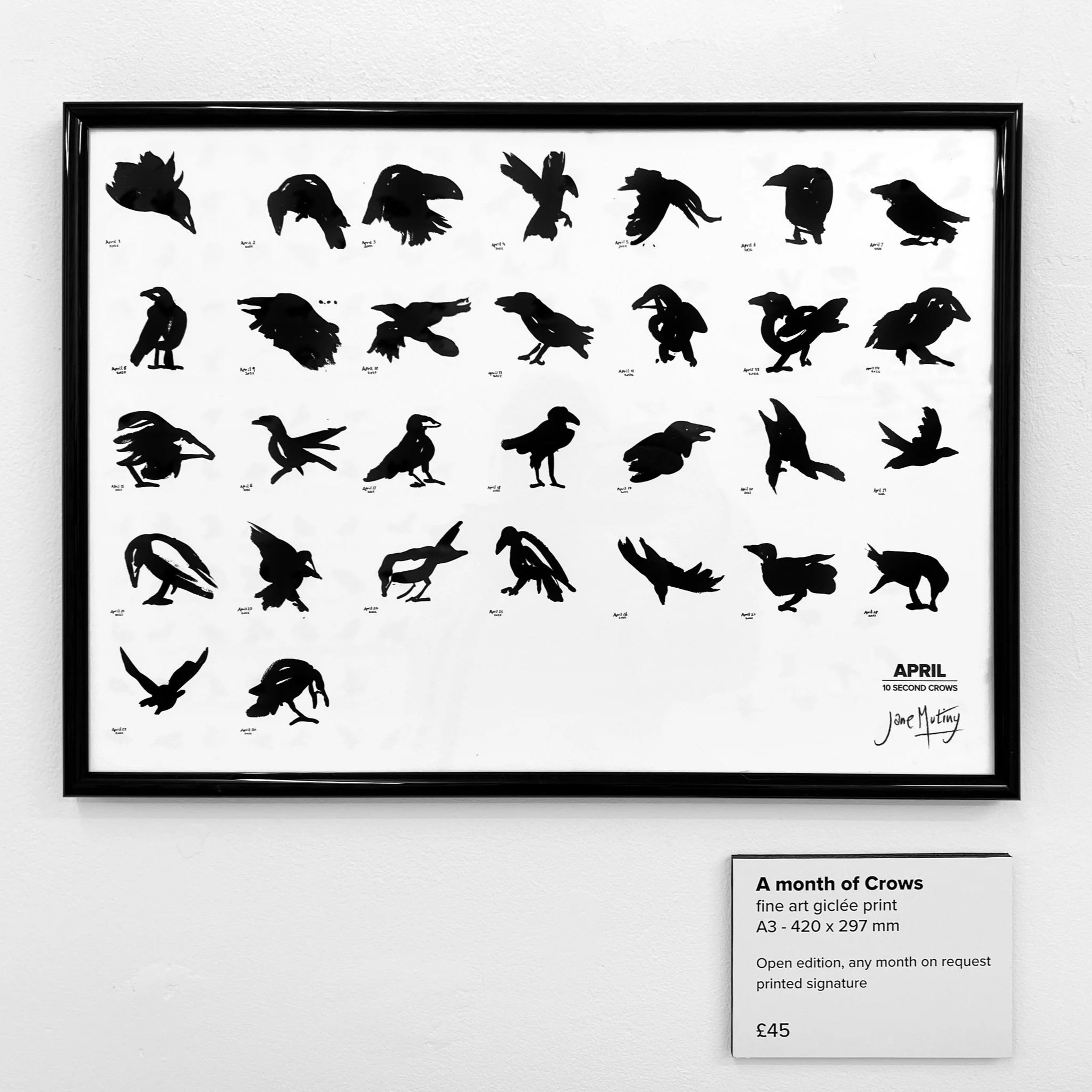 TEN SECOND CROW - month print