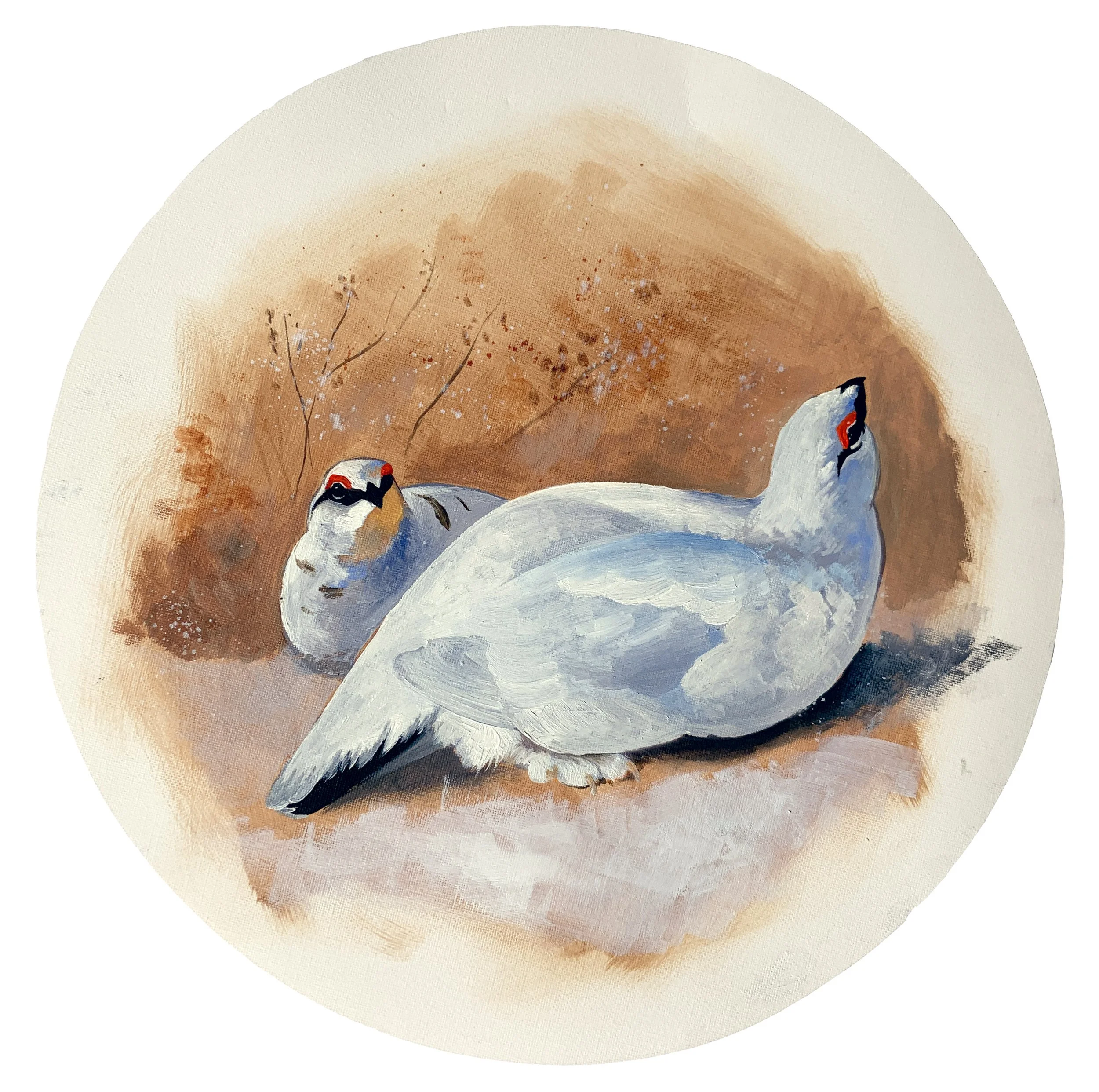 ptarmigan oil sketch.jpg