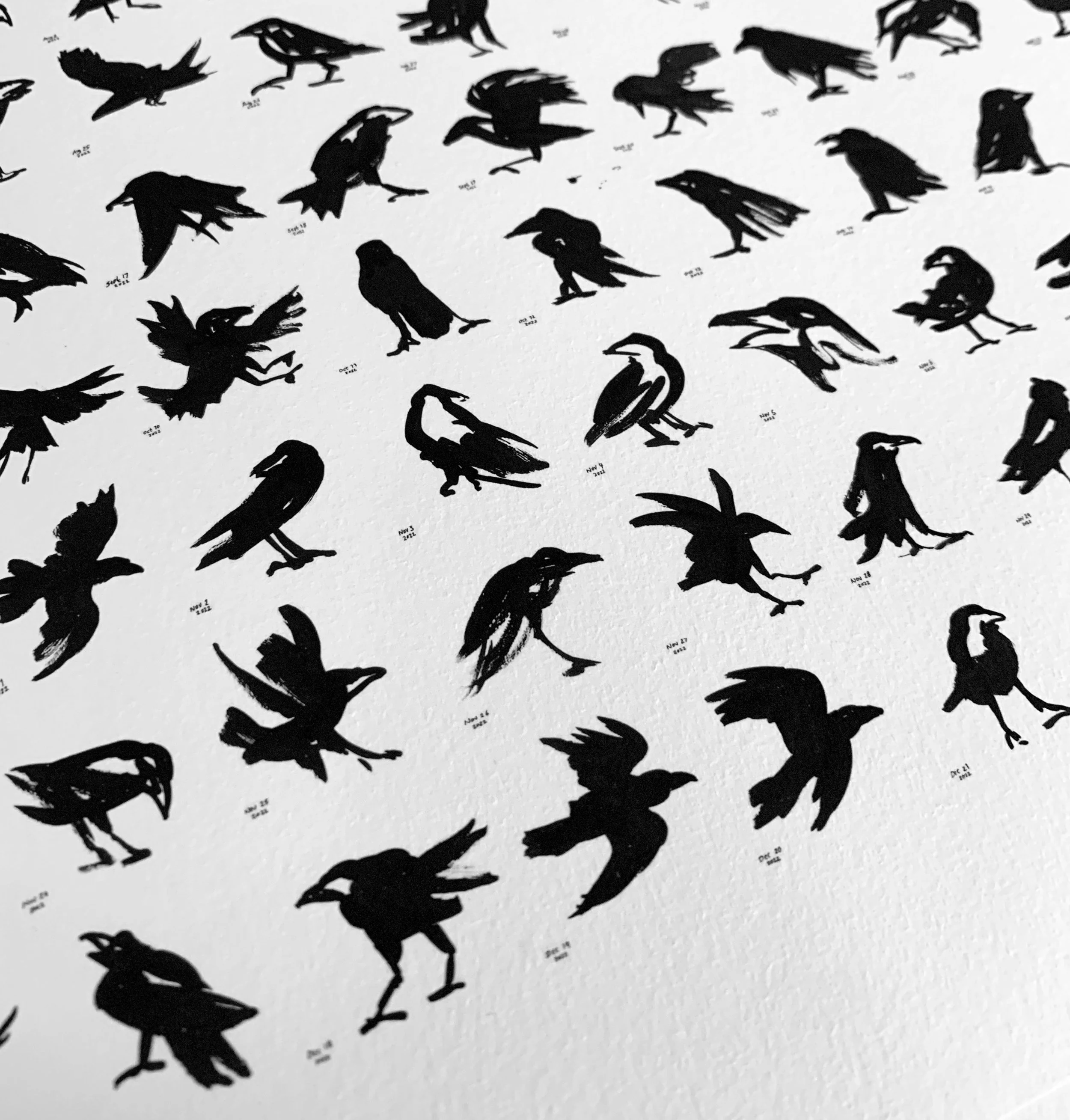 TEN SECOND CROW - year print