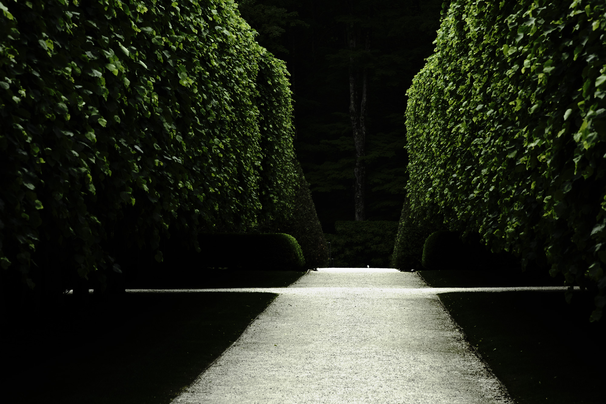 Pathway