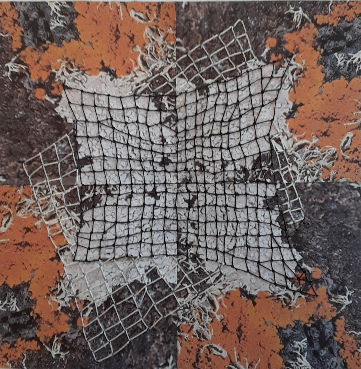 Capturing Lichen