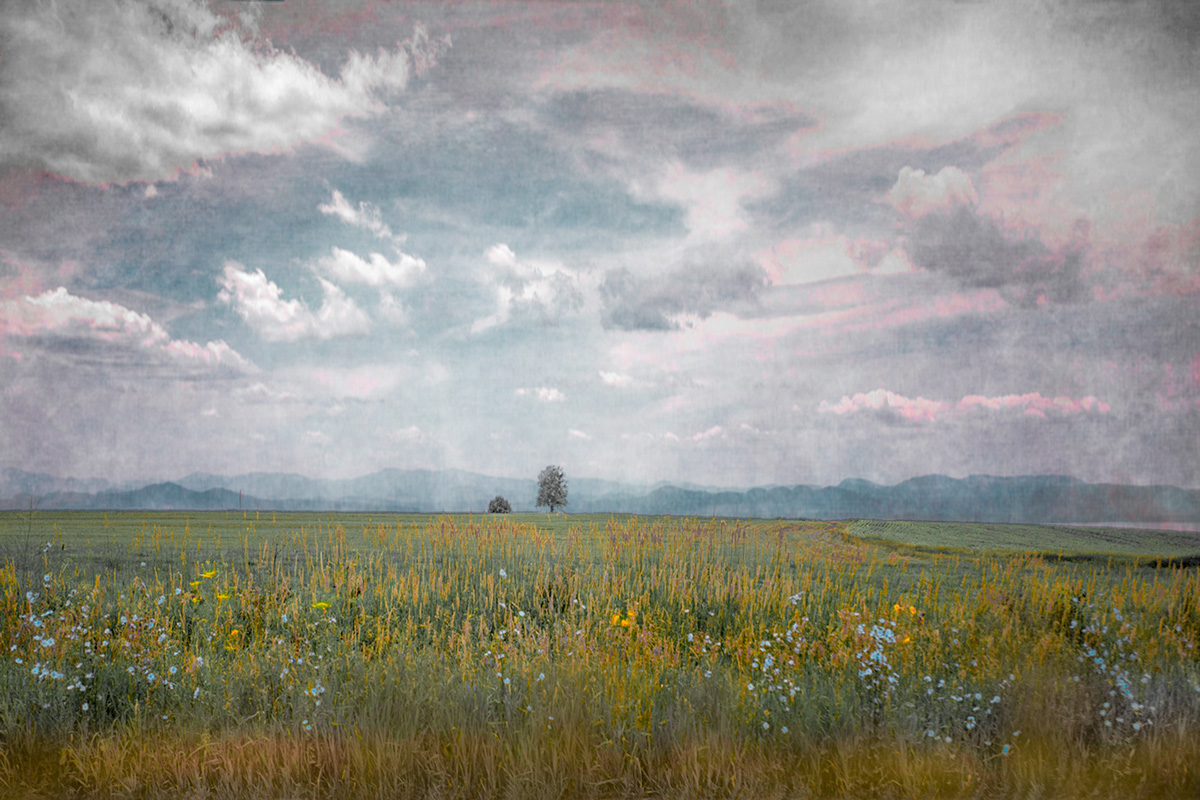 asters_and_mountains--12x18--$800----24x36--$1800.jpg
