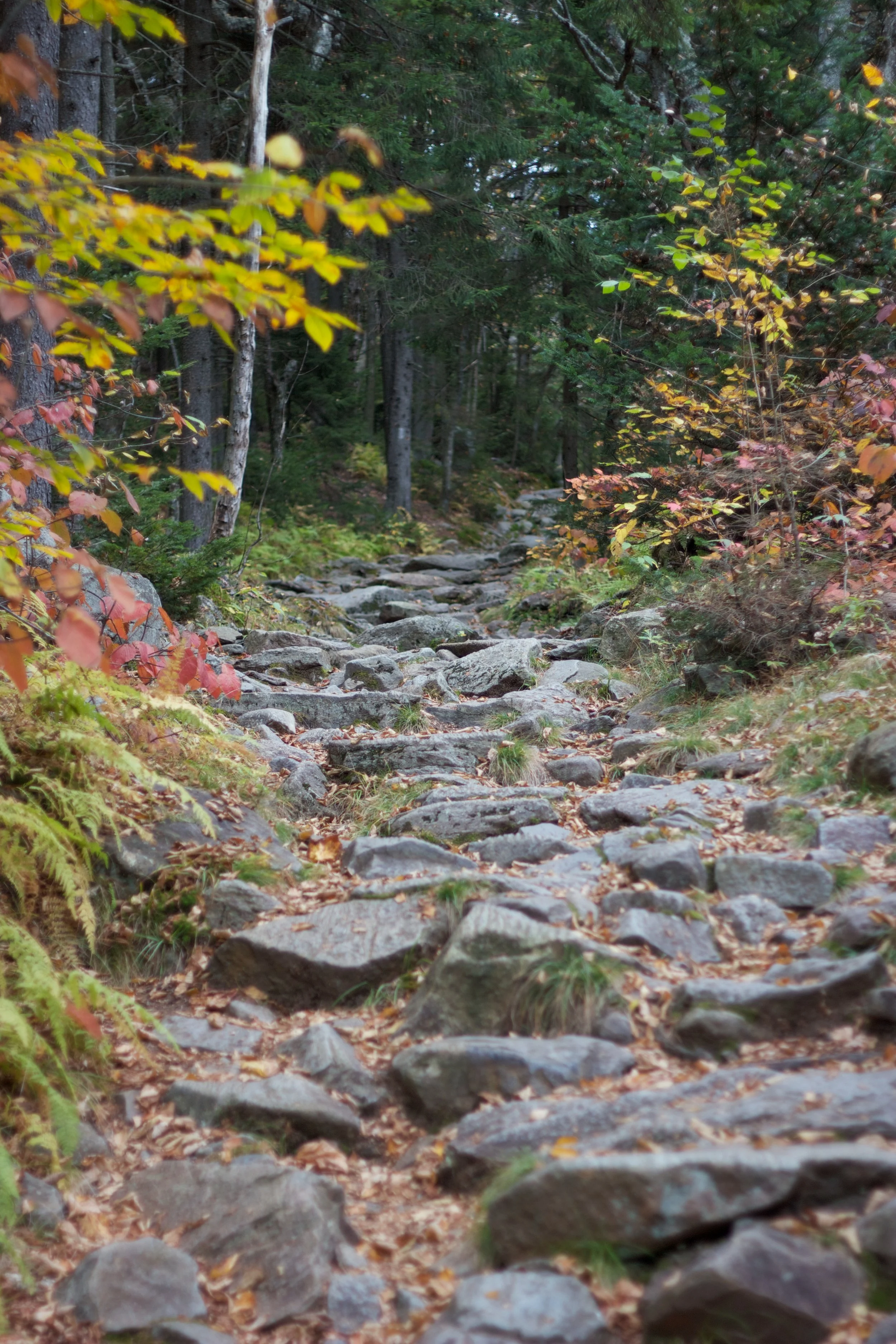 Photo by Pexels