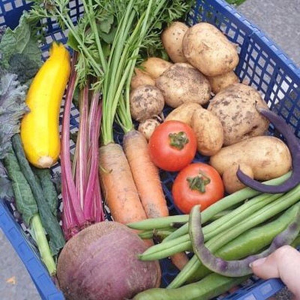 We will be doing fresh and local surplus boxes again this Saturday. You are welcome to invite your friends and family to order as well, so share this post with them.
If you would like one, please reply to aberfoodcoop@outlook.com:
Name
&pound;5 or &p