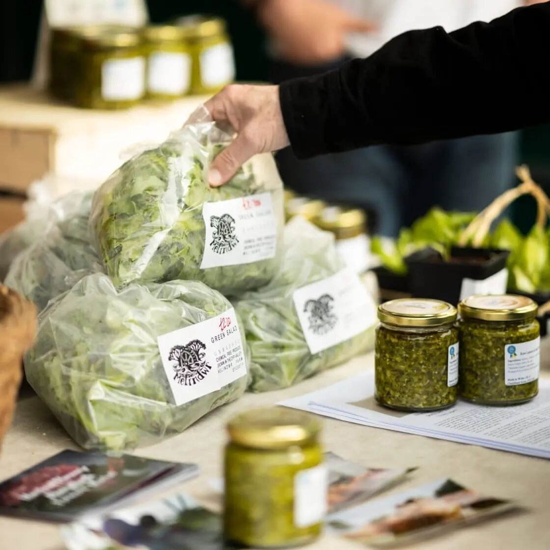 Aber Food Coop and T&ecirc;g at the farmers market! We have been making surplus local produce into tasty, ready to eat products... see you at the next one, 7th May with some sorrel and wild leek chimichurri, and spicy salad pesto
Pictures by @huwsgar
