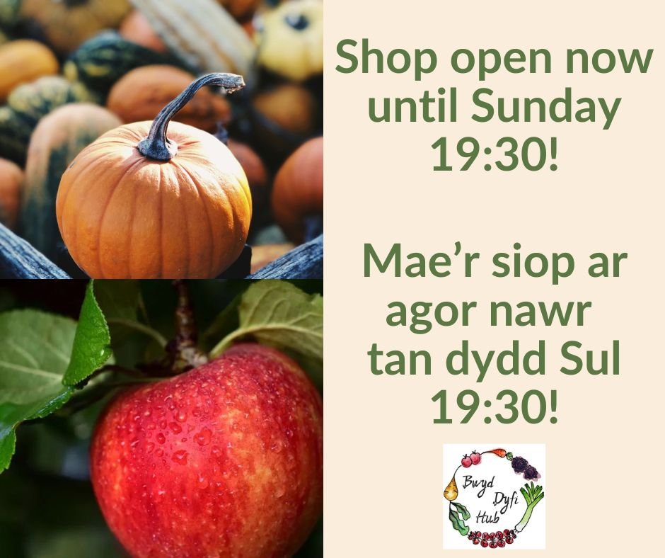 The shop is open! This week we have Hokkaidos and Kuri from Red Rowan Produce, Blue Hubbards from Enfys Veg, Winter Gem from Glandyfi, and Crown Prince from Blaencamel Farm! Local apples are still available too!

Take your pick to cook up some delici