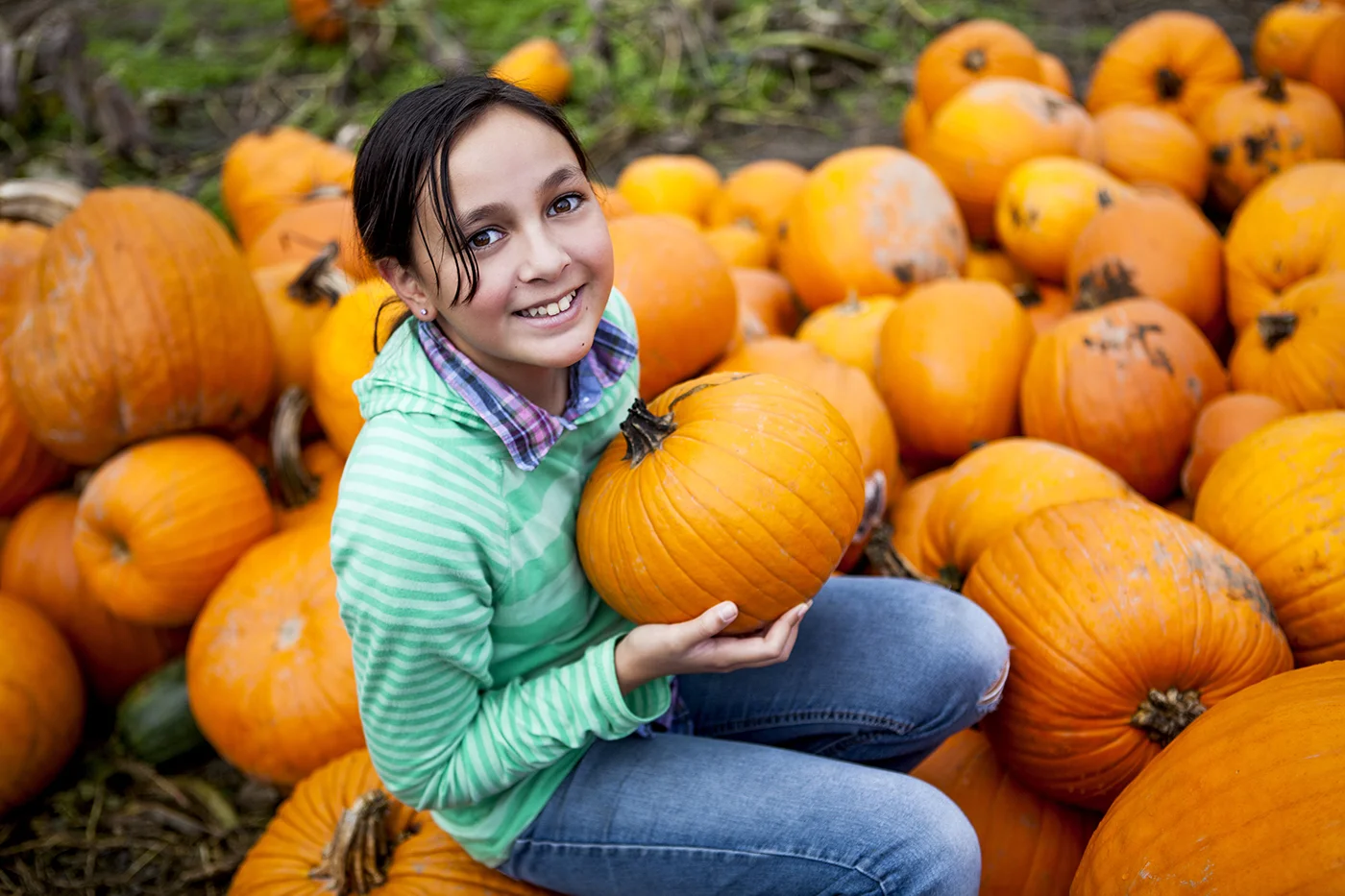 Home to Kerr Lake, the largest man-made lake east of the Mississippi River, the Kerr-Tar region is known for tobacco, cattle, strawberries, and pumpkins. App Administrator: Michael Kelly, Kerr-Tar Regional Council of Government Email: mkelly@kerrtarcog.org Phone: 252-436-2040